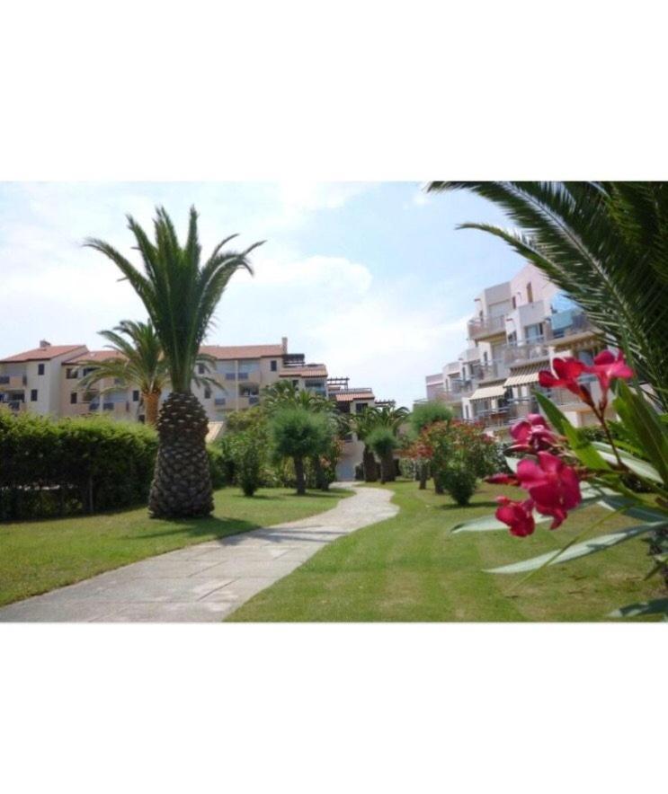 Ferienwohnung Rez De Jardin + Terrasse Piscine Et Acces Direct Plage Saint-Cyprien  Exterior foto
